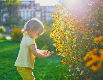 image showing a toddler picking flower that help build core strength, hand skills. and coordination